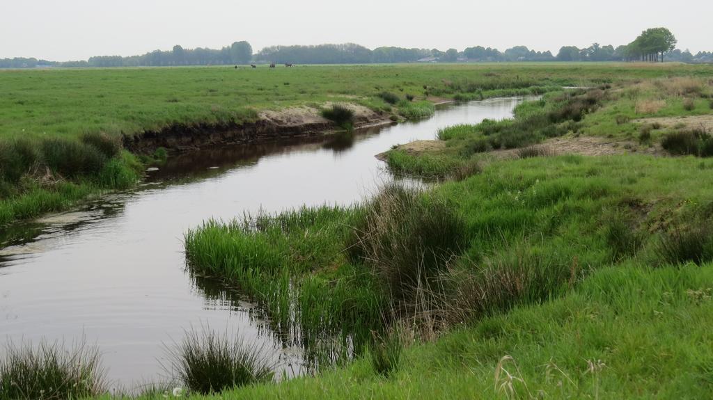'T Zwanemeer Gieten Exterior foto