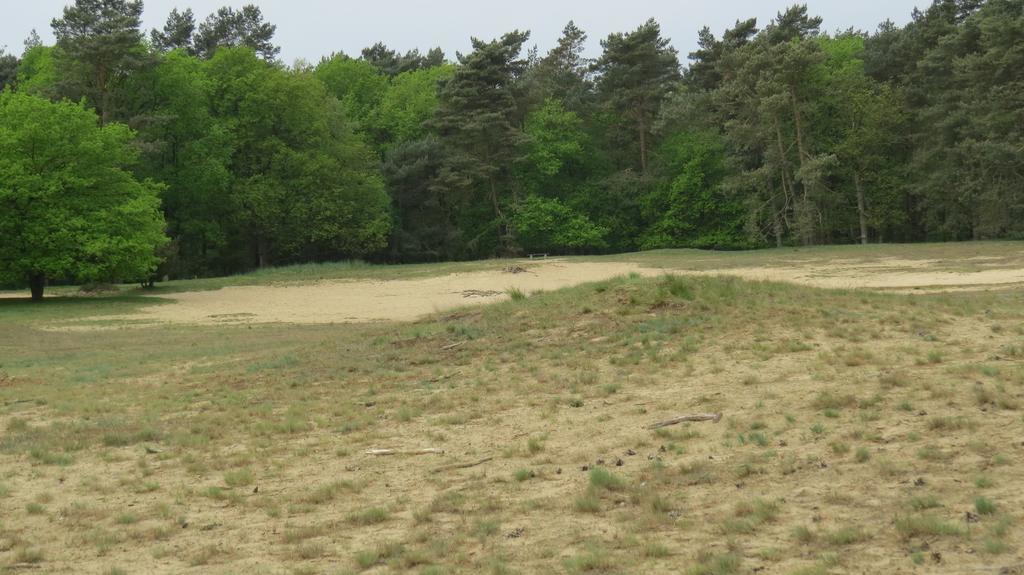 'T Zwanemeer Gieten Exterior foto