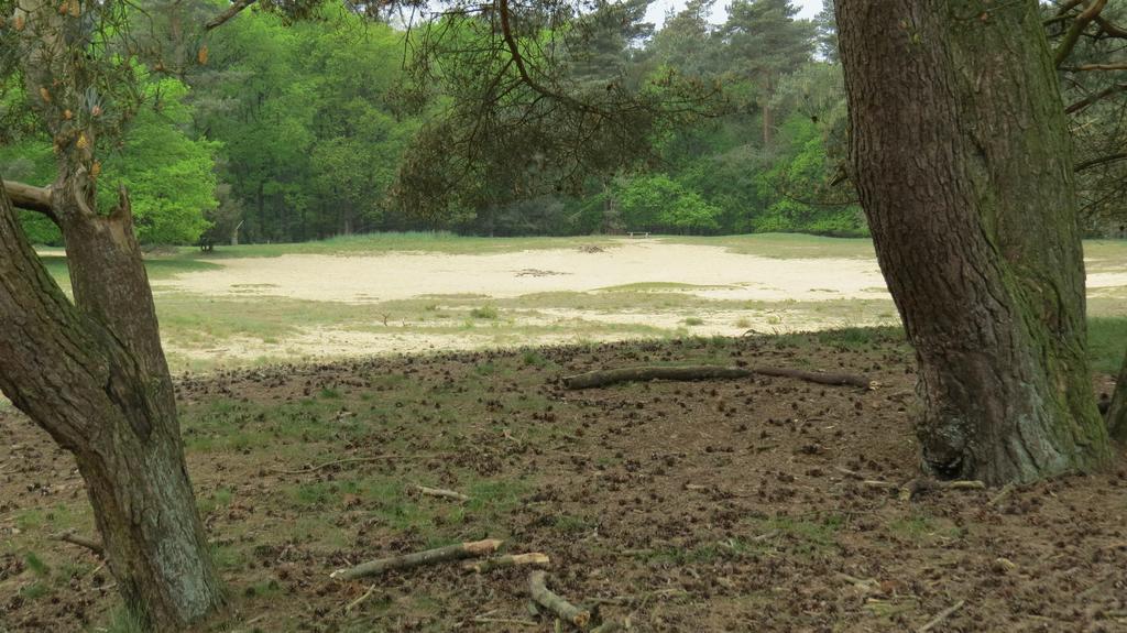 'T Zwanemeer Gieten Exterior foto